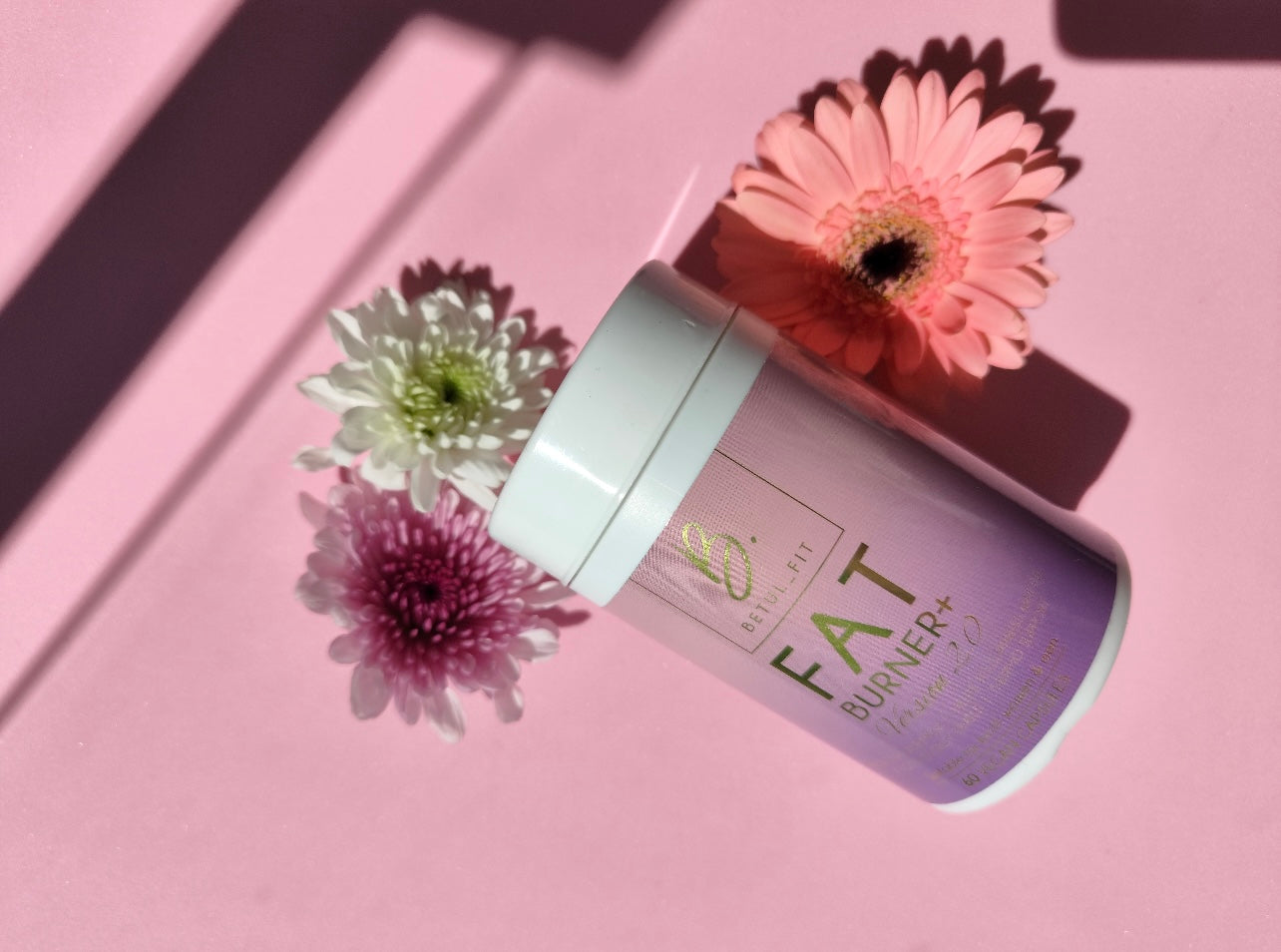 Fat Burn plus version 2.0